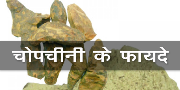 चोपचीनी के फायदे चोपचीनी के फायदे