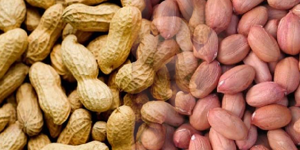 मूंगफली खाने के फ़ायदे
