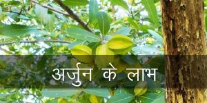 अर्जुन के लाभ अर्जुन के लाभ
