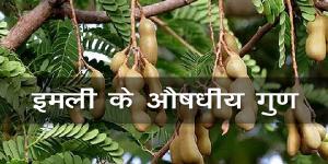इमली के औषधीय गुण इमली के औषधीय गुण
