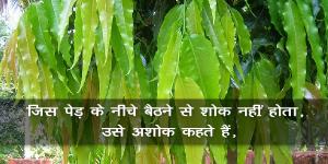 जिस पेड़ के नीचे बैठने से शोक नहीं होता, उसे अशोक कहते हैं, जिस पेड़ के नीचे बैठने से शोक नहीं होता, उसे अशोक कहते हैं,