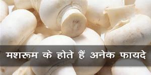 मशरूम के होते हैं अनेक फायदे मशरूम के होते हैं अनेक फायदे