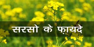 सरसो के फ़ायदे सरसो के फ़ायदे