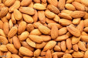 सेक्स पॉवर बढ़ाने की आयुर्वेदिक दवा सेक्स पॉवर बढ़ाने की आयुर्वेदिक दवा