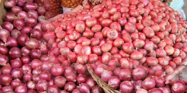 खरीफ प्याज उत्पादन तकनीक