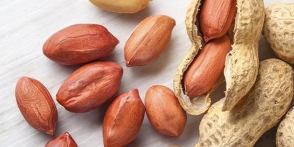मूंगफली की खेती कब और कैसे मूंगफली की खेती कब और कैसे