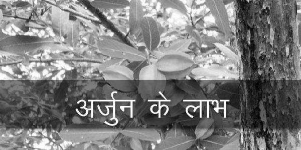 अर्जुन के लाभ अर्जुन के लाभ