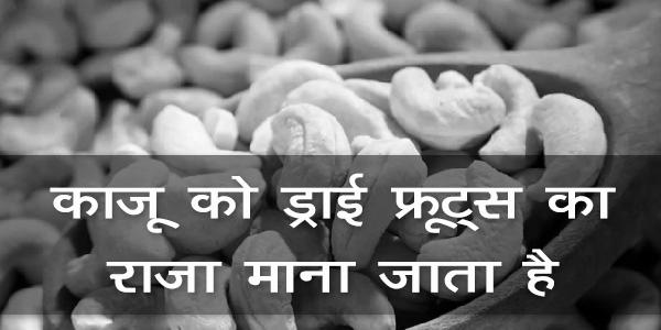 काजू को ड्राई फ्रूट्स का राजा माना जाता है काजू को ड्राई फ्रूट्स का राजा माना जाता है