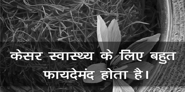 केसर स्वास्थ्य के लिए बहुत फायदेमंद होता है। केसर स्वास्थ्य के लिए बहुत फायदेमंद होता है।