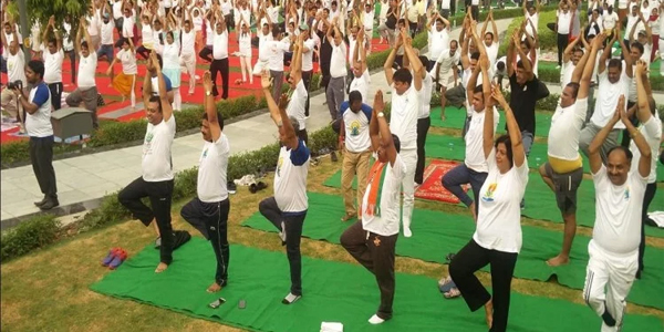 लंबाई बढ़ाए उर्ध्वोत्तानासन योगासन लंबाई बढ़ाए उर्ध्वोत्तानासन योगासन